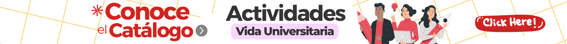 conoce el catalogo
