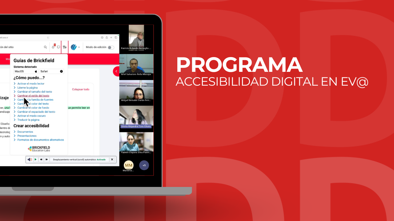 programa de Accesibilidad Digital