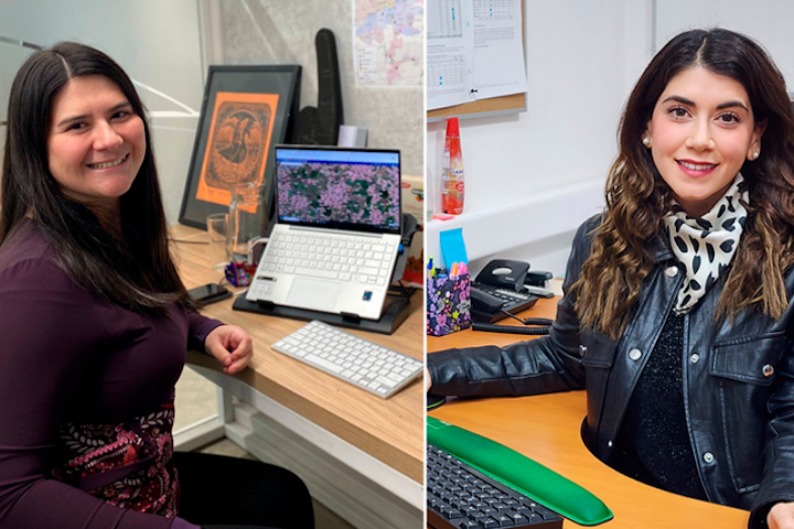 Diplomado en Sistemas de Información Geográfica SIG otorga becas para su versión 2023