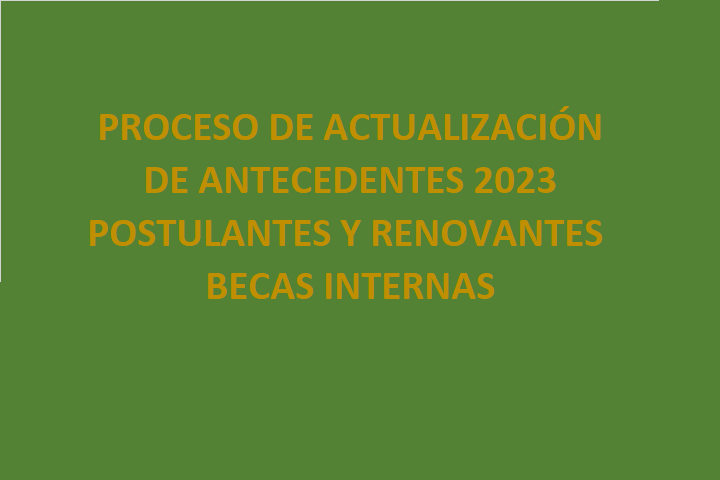 Proceso actualización antecedentes rezagados (becas internas y FSCU)