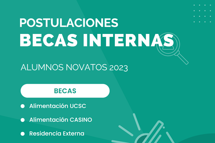 Proceso postulación becas internas alumnos novatos