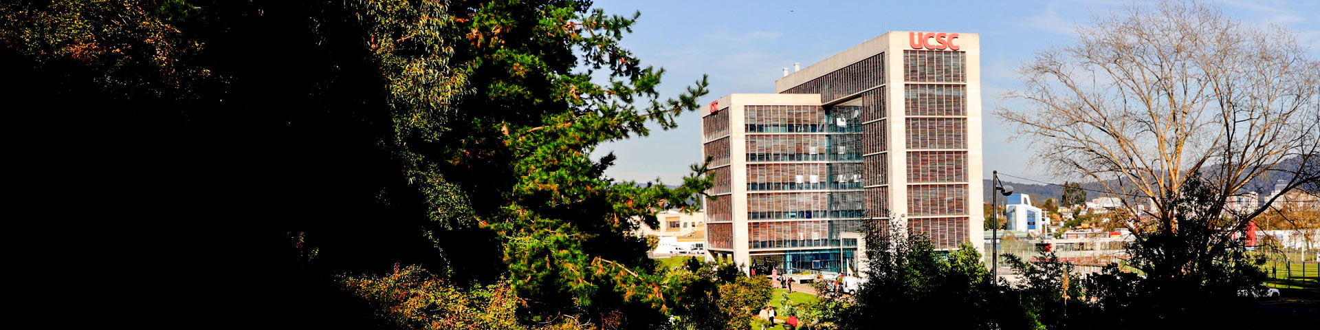 Formación Comunidad UCSC