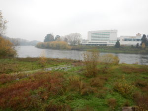 Río Rahue, Osorno