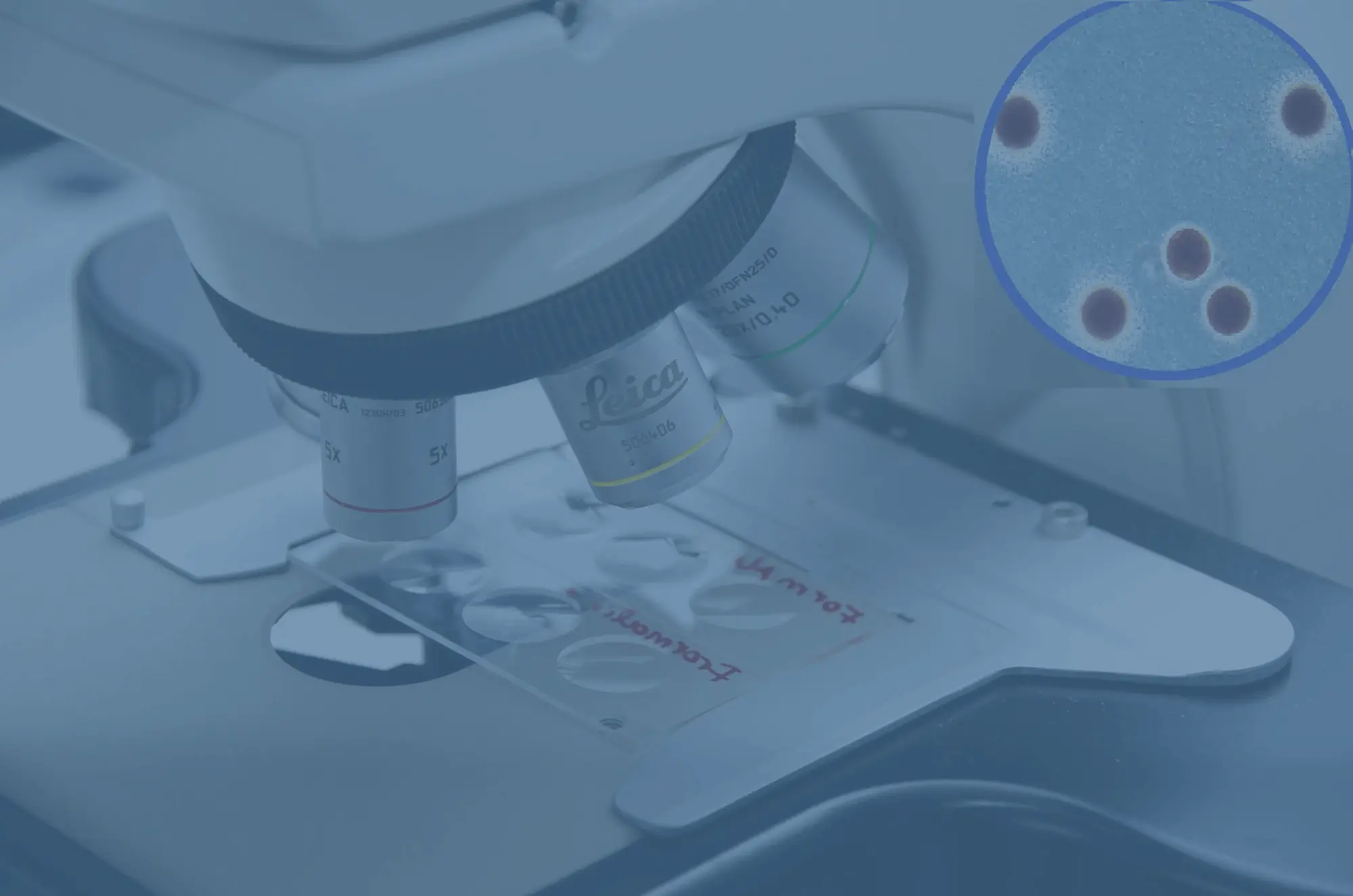 Unidad de Ecotoxicología