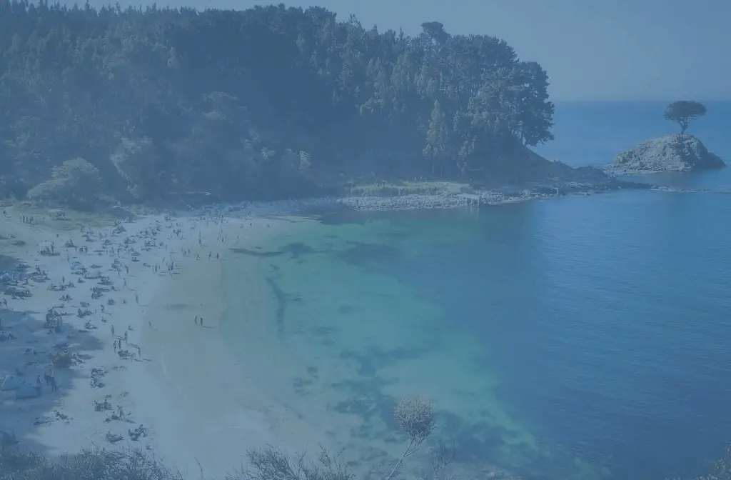 Unidad de Medio Ambiente