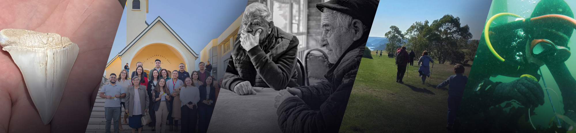 Impacto y posicionamiento